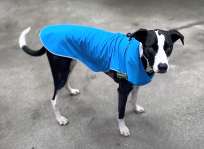 Urban Pup Jacket (w/o utility features)