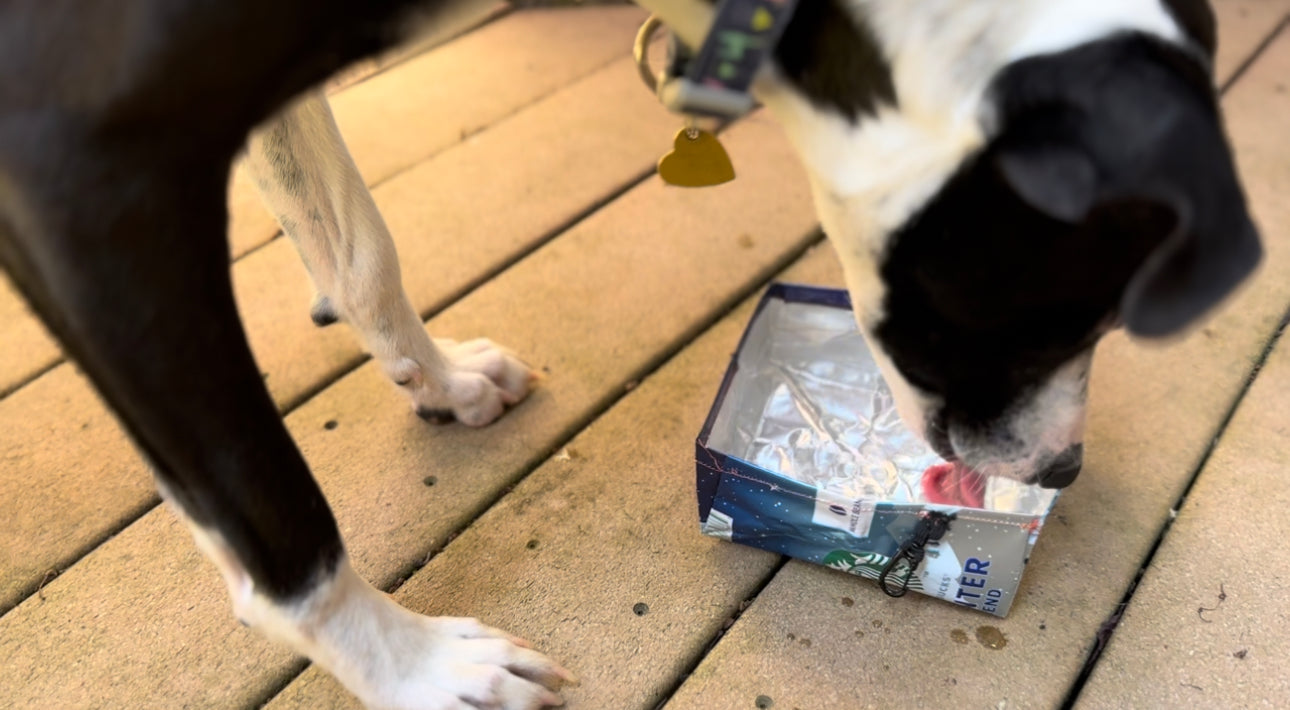 Ultralight Collapsible Urban Pup Bowl