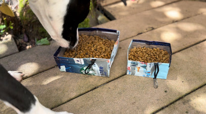 Ultralight Collapsible Urban Pup Bowl