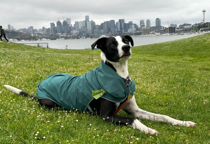 Urban Pup Jacket (w/o utility features)