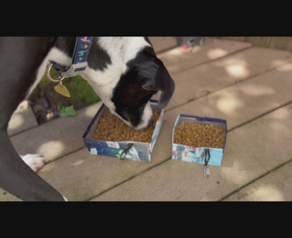 Ultralight Collapsible Urban Pup Bowl